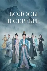 Волосы в серебре 1 сезон